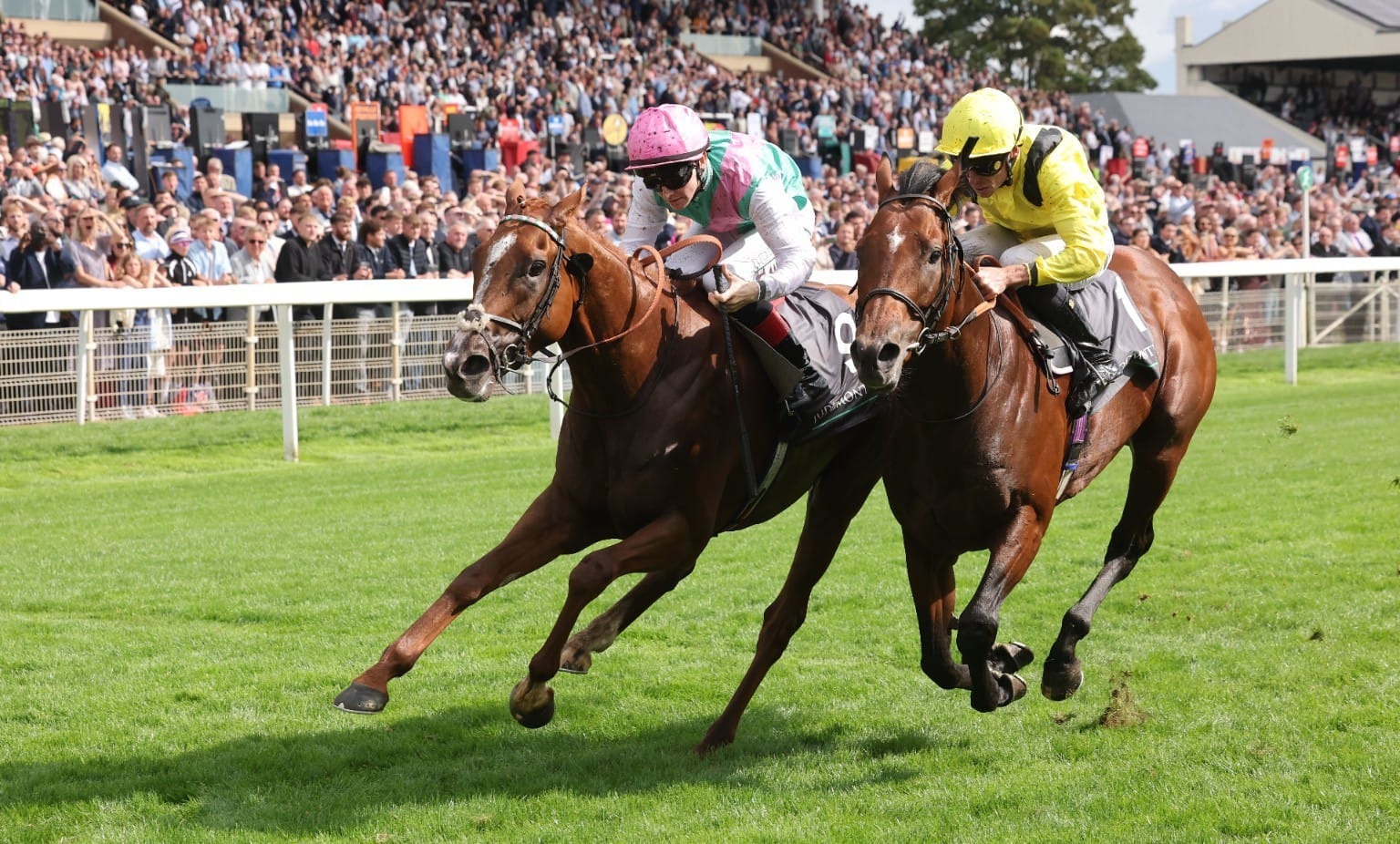 Irish Champions Festival at Leopardstown and the Curragh