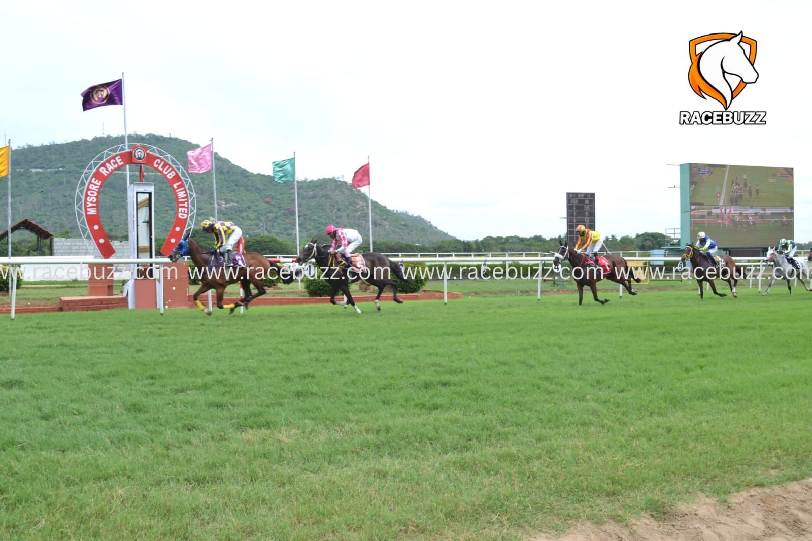 Mysore Race Club racecards 10 September 2026 Indian horse racing at Mysore