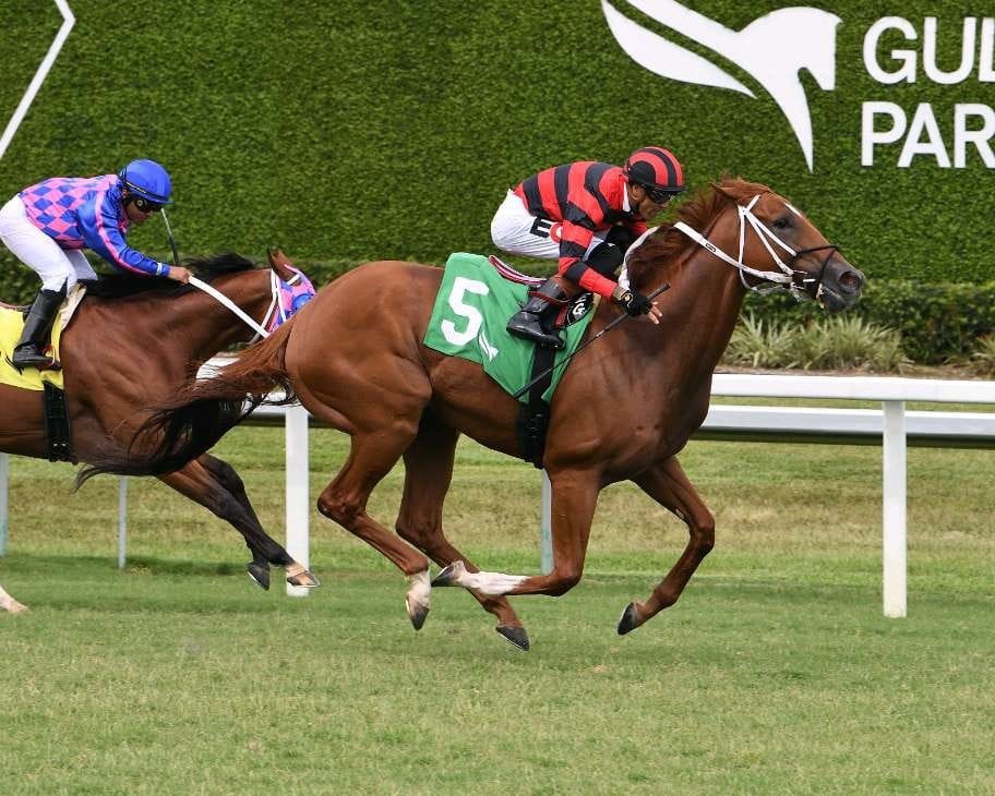 Bob Umphrey Turf Sprint contenders at Gulfstream Park
