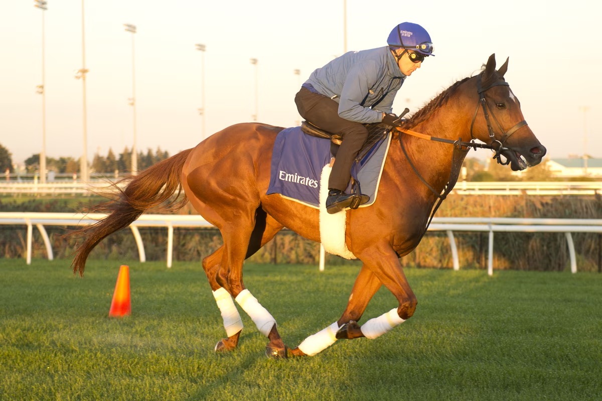 Notable Speech headlines the 2026 Woodbine Mile field