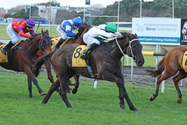 NZB Southern Filly Series Canterbury Belle Stakes at Riccarton Park Racecourse