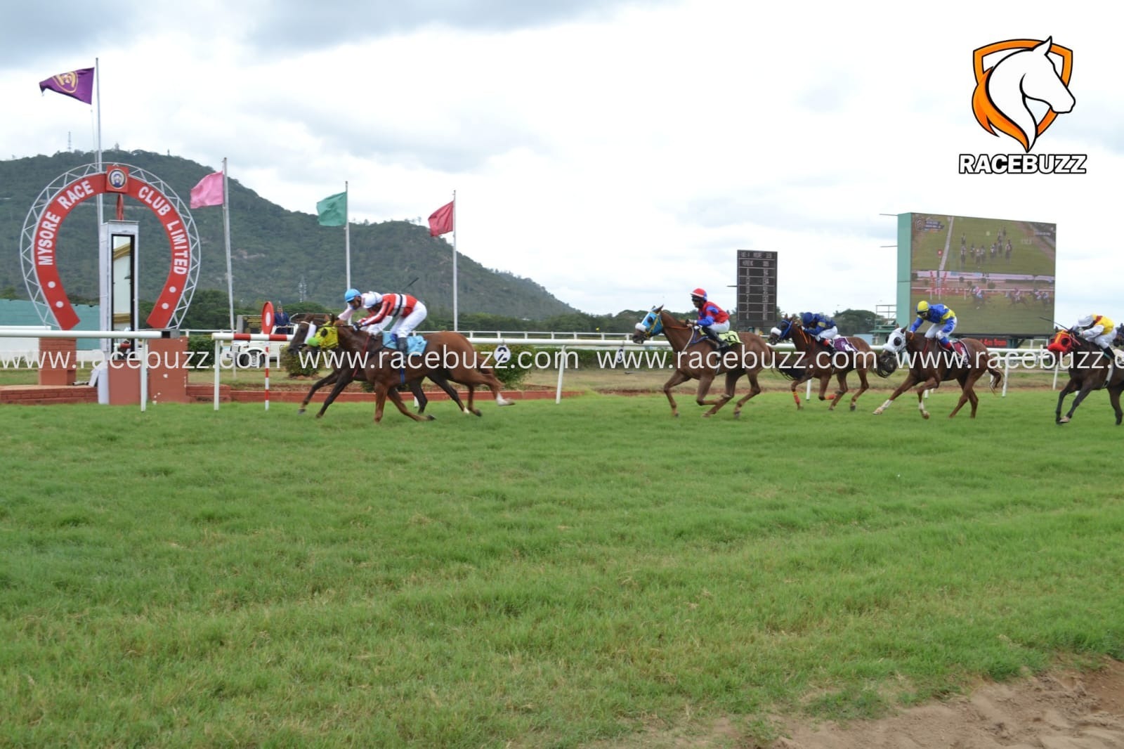 Mysore Race Club racecards 25 September 2026 Indian horse racing