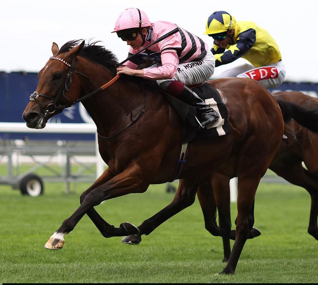 Qatar Racing Pony Racing Championship at Ascot on British Champions Day