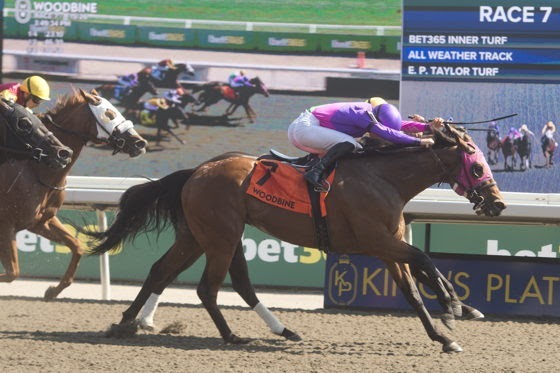 Vigil Stakes field featuring Souped Up at Woodbine