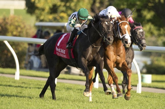 Dance Smartly Stakes returning to Woodbine’s E.P. Taylor Turf Course