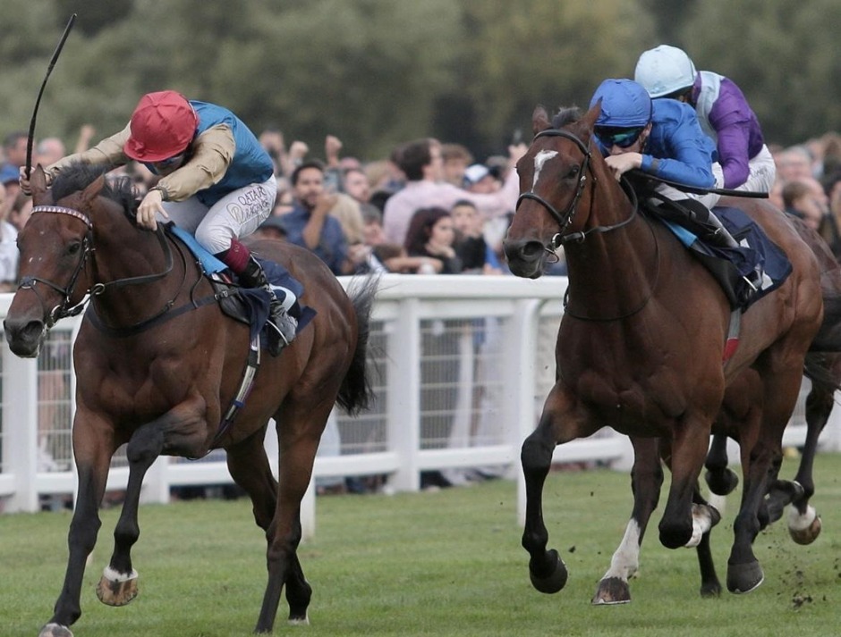 Windsor racecards 14 September 2026 flat racing at Windsor Racecourse