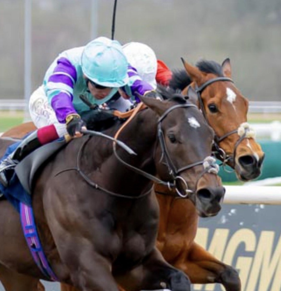 Wolverhampton racecards 15 September 2026 all-weather racing at Wolverhampton Racecourse