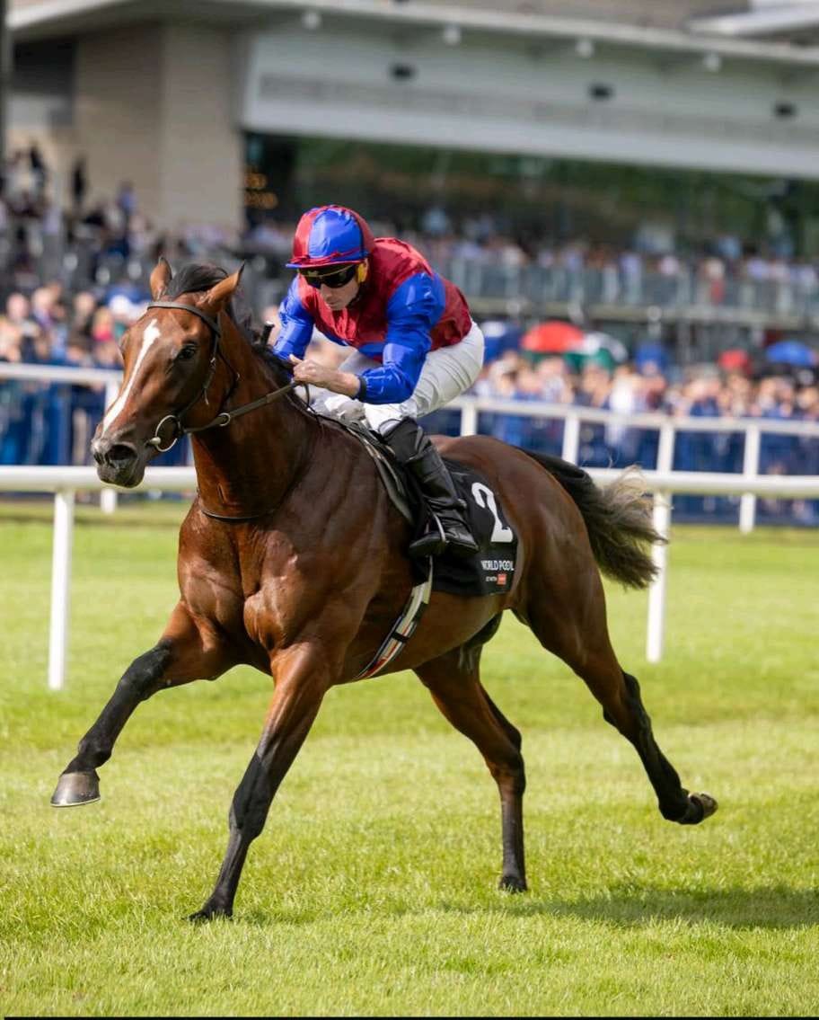 Darkness Falls wins the HKJC World Pool Golden Fleece Stakes at Leopardstown