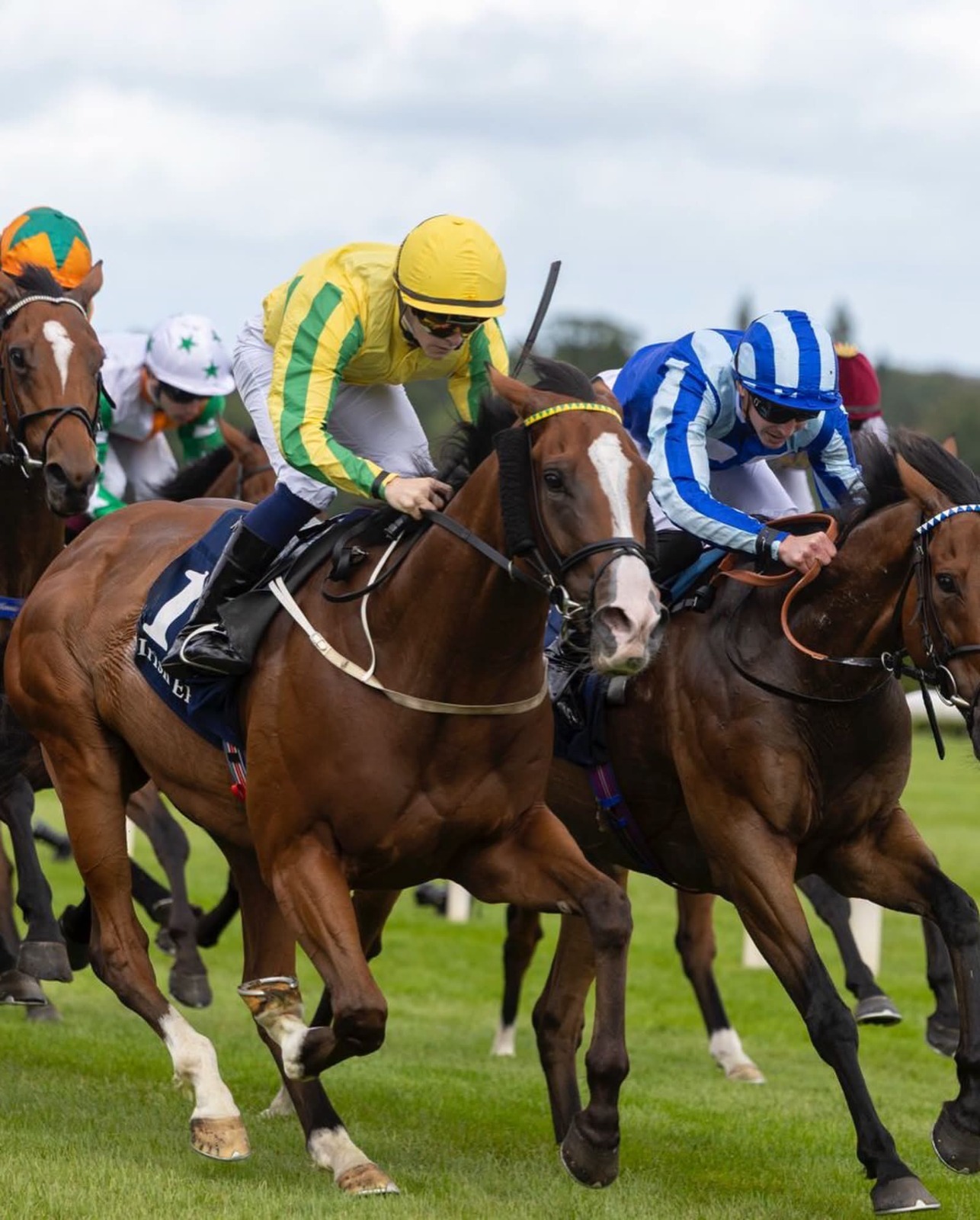 Blue Bolt wins the Matron Stakes at Leopardstown