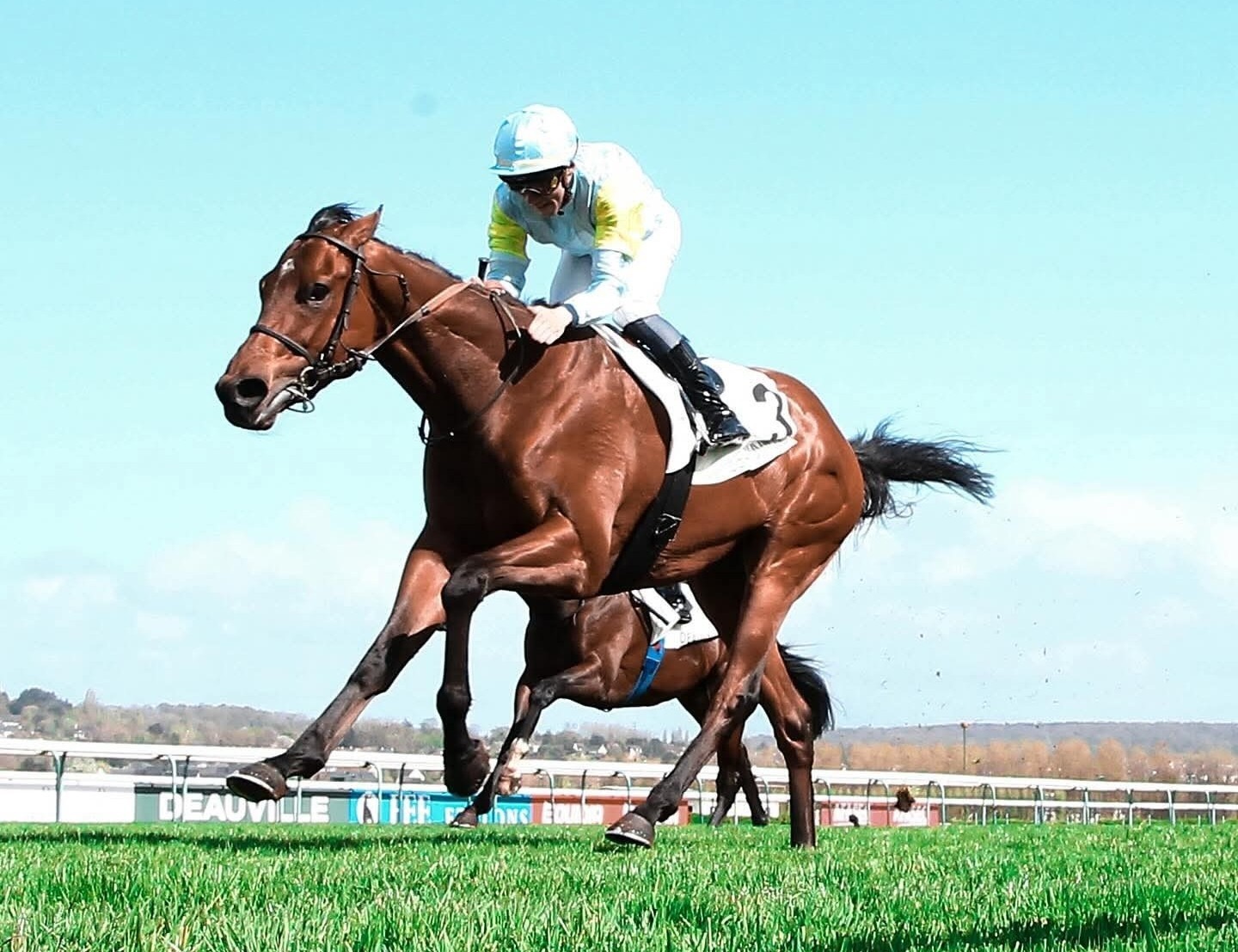 Deauville racecards 5 October 2026 French flat racing at Deauville Racecourse