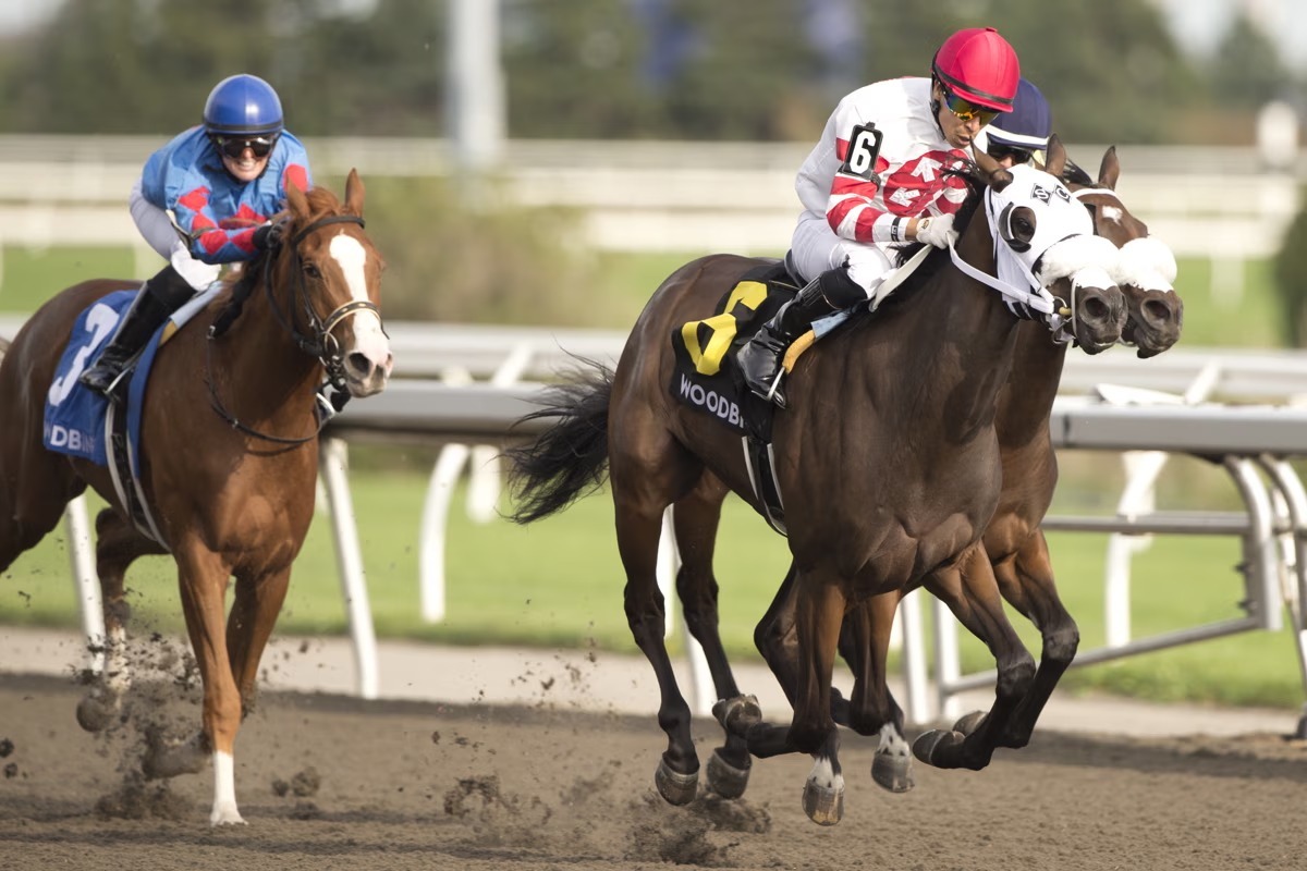 Stunningly Perfect Victorian Queen Stakes winner at Woodbine