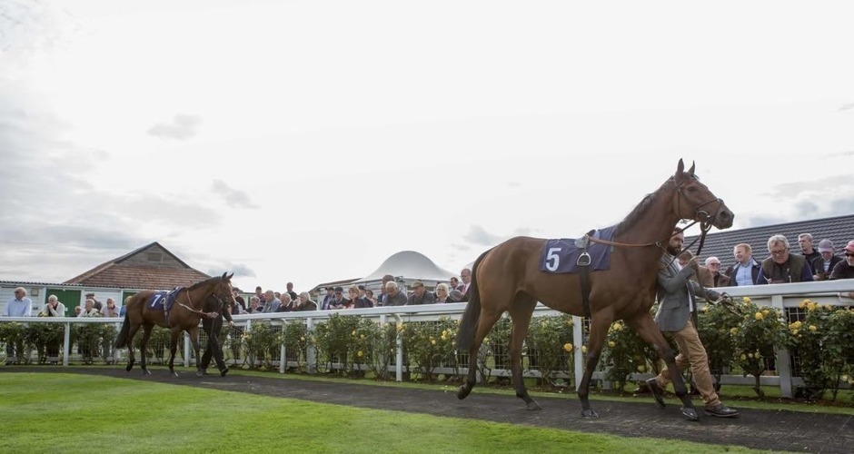 Great Yarmouth racecards 16 September 2026 flat racing at Great Yarmouth Racecourse