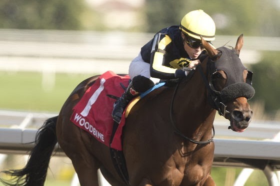 Souper Survivor Bull Page Stakes winner at Woodbine Racecourse