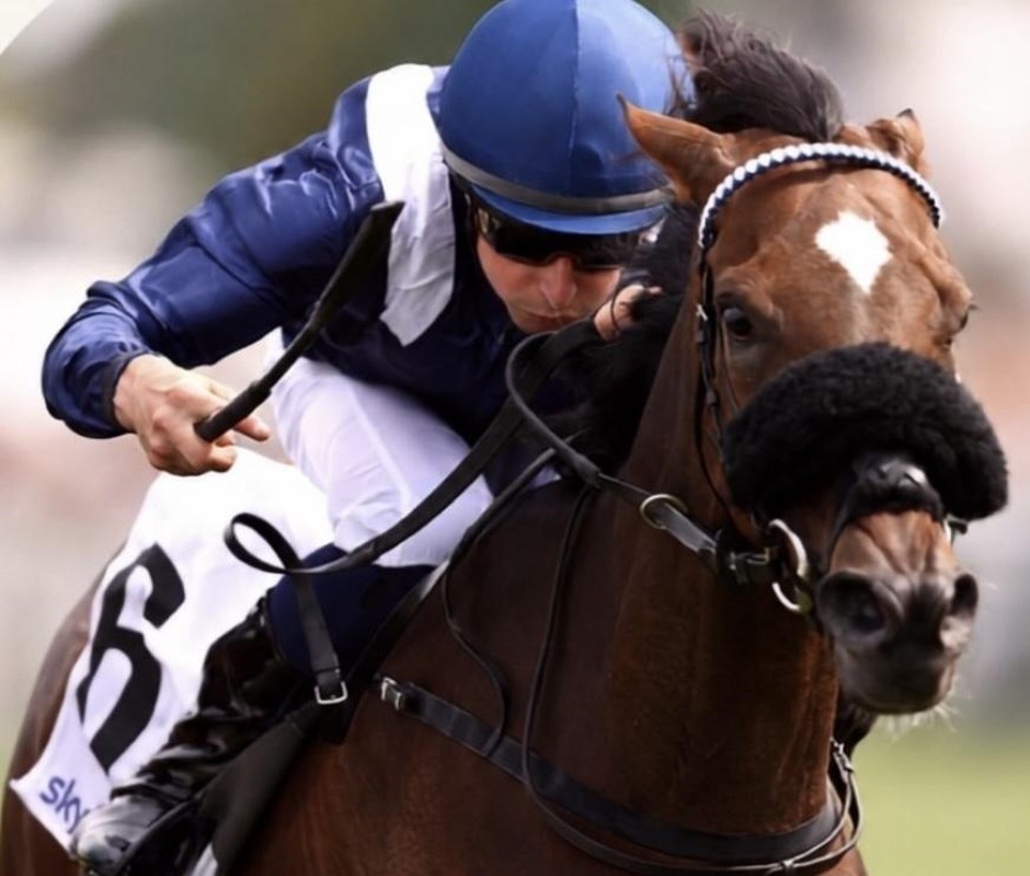 Lyon Parilly racecards 15 September 2026 French racing at Lyon Parilly Racecourse
