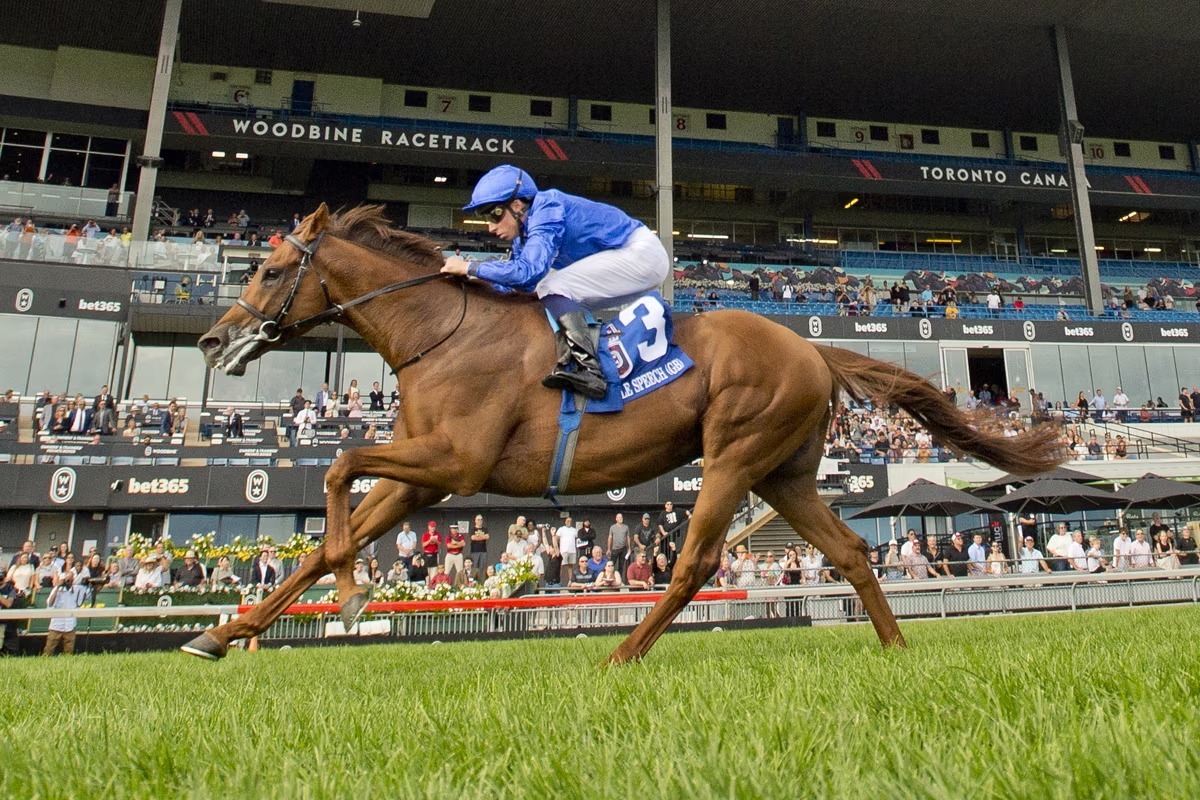 Canadian International Post Draw at Woodbine Racetrack