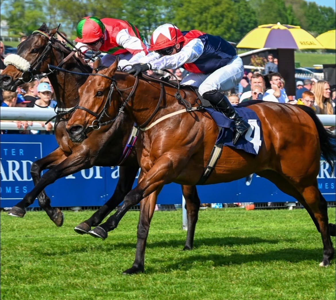 Beverley racecards 16 September 2026 flat racing at Beverley Racecourse