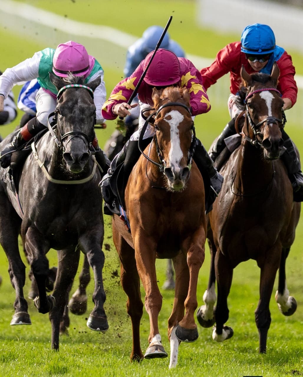 Naas Racecards 17 September eight-race programme