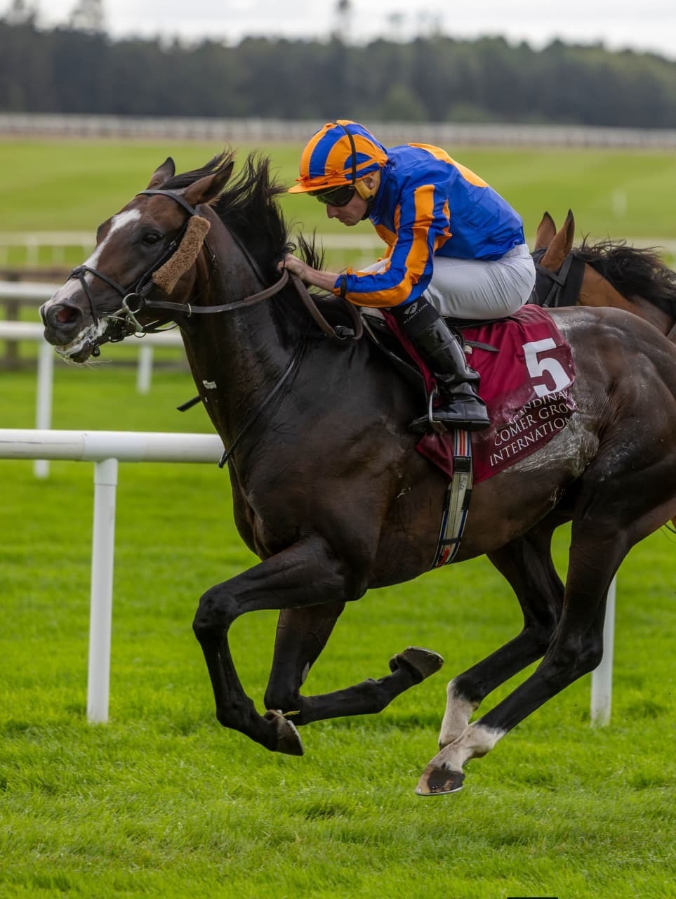Cartier Racing Awards standings after the Irish Champions Festival
