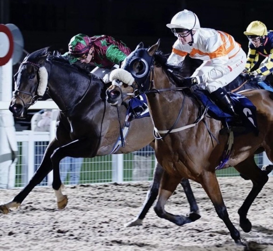 Southwell racecards 17 September 2026 all-weather racing at Southwell Racecourse