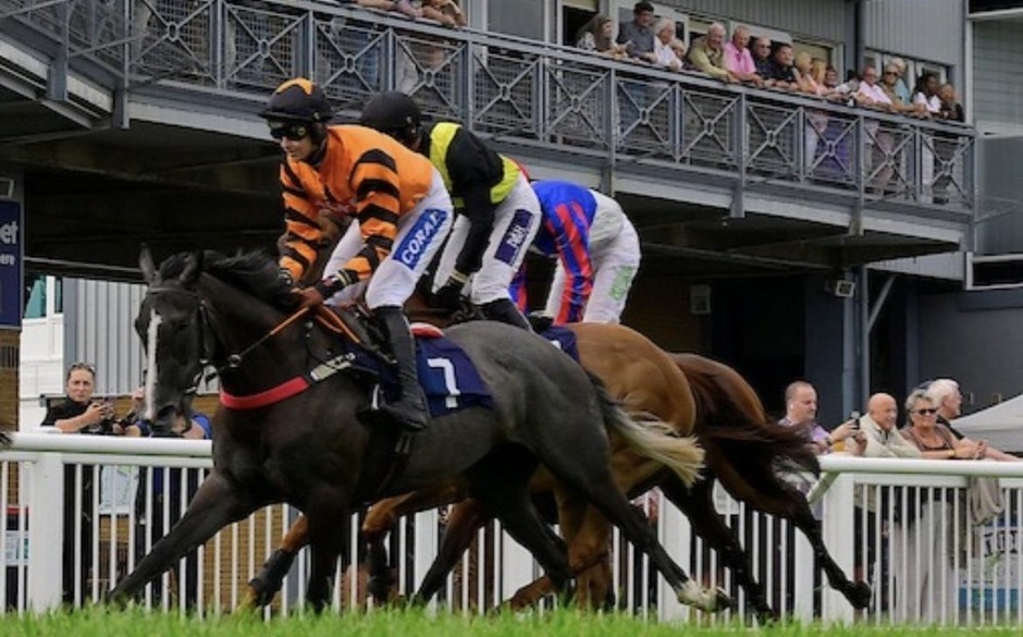 Newton Abbot racecards 18 September 2026 National Hunt racing at Newton Abbot Racecourse
