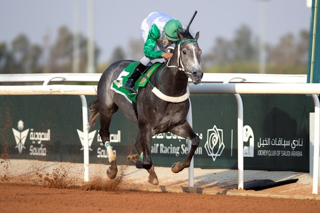 Taif Sprint Championships at King Khalid Racecourse