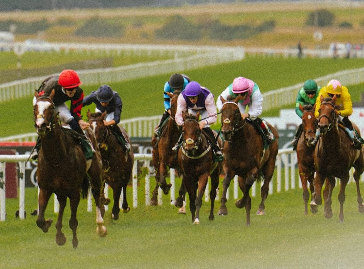GAIN The Advantage Series finale at Listowel Racecourse