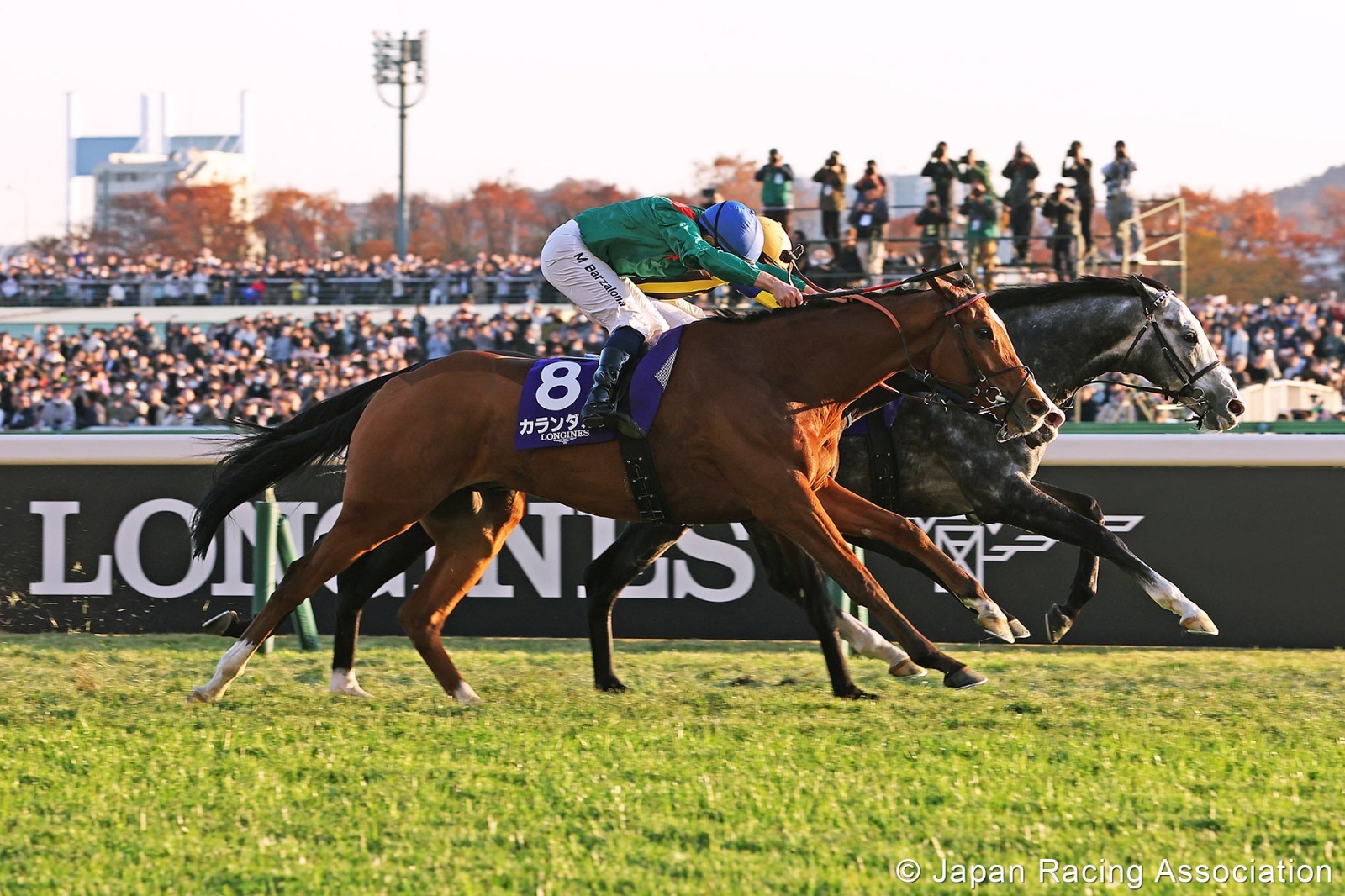 Hanshin Jump Stakes 2026 runners at Hanshin Racecourse