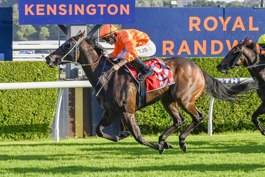 Yarraman Park Shorts 2026 12-runner field at Royal Randwick Racecourse