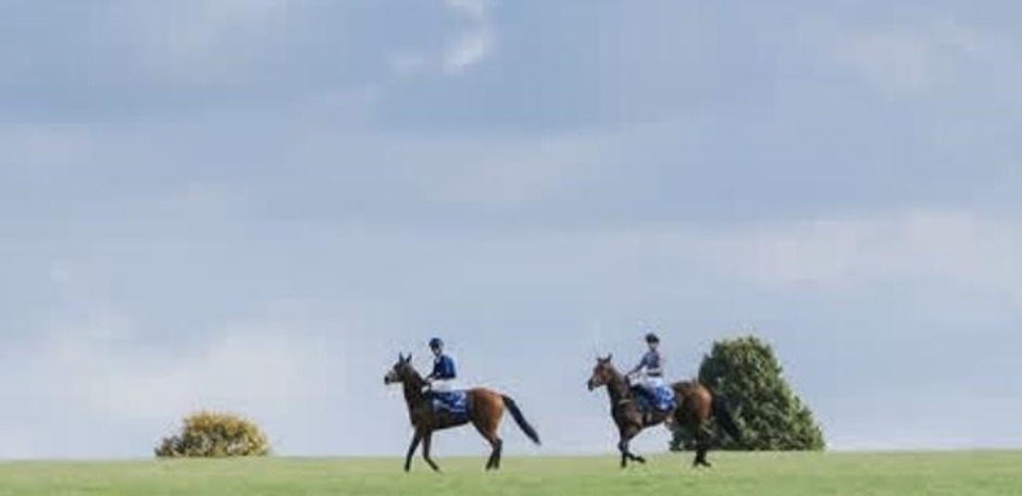 Newmarket racecards 19 September 2026 flat racing at Newmarket Racecourse