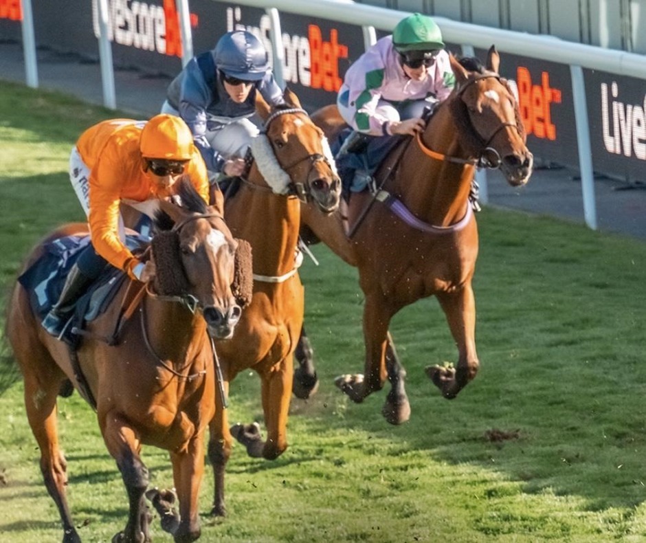 Chester racecards 19 September 2026 flat racing at Chester Racecourse