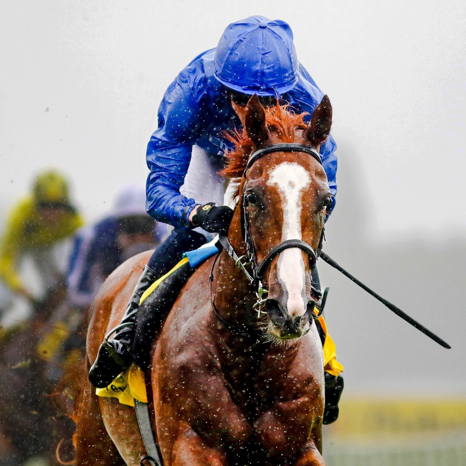 Newbury Racecards 19 September Mill Reef Stakes