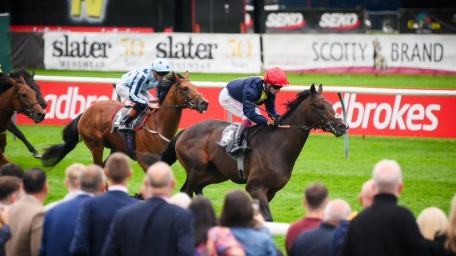 Ayr Racecards 19 September seven-race Flat meeting at Ayr Racecourse