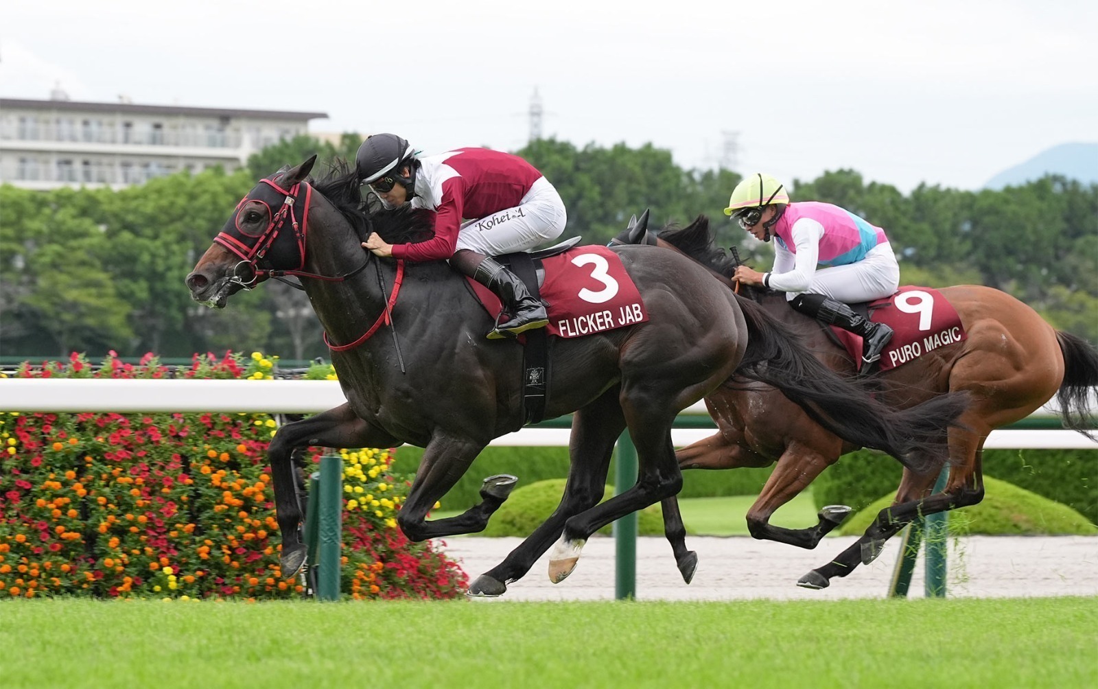 Hanshin Race Results 19 September as Okini wins the Hanshin Jump Stakes