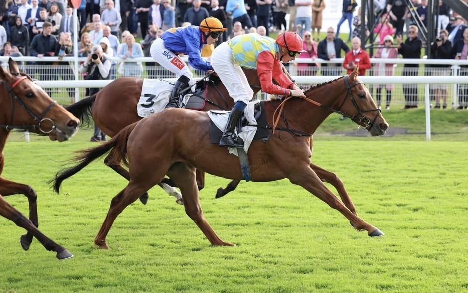 Hamilton Park racecards 20 September 2026 flat racing at Hamilton Park Racecourse