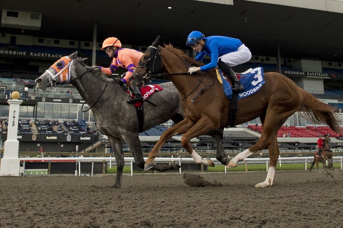 William T wins the Grade 3 Durham Cup at Woodbine Racetrack