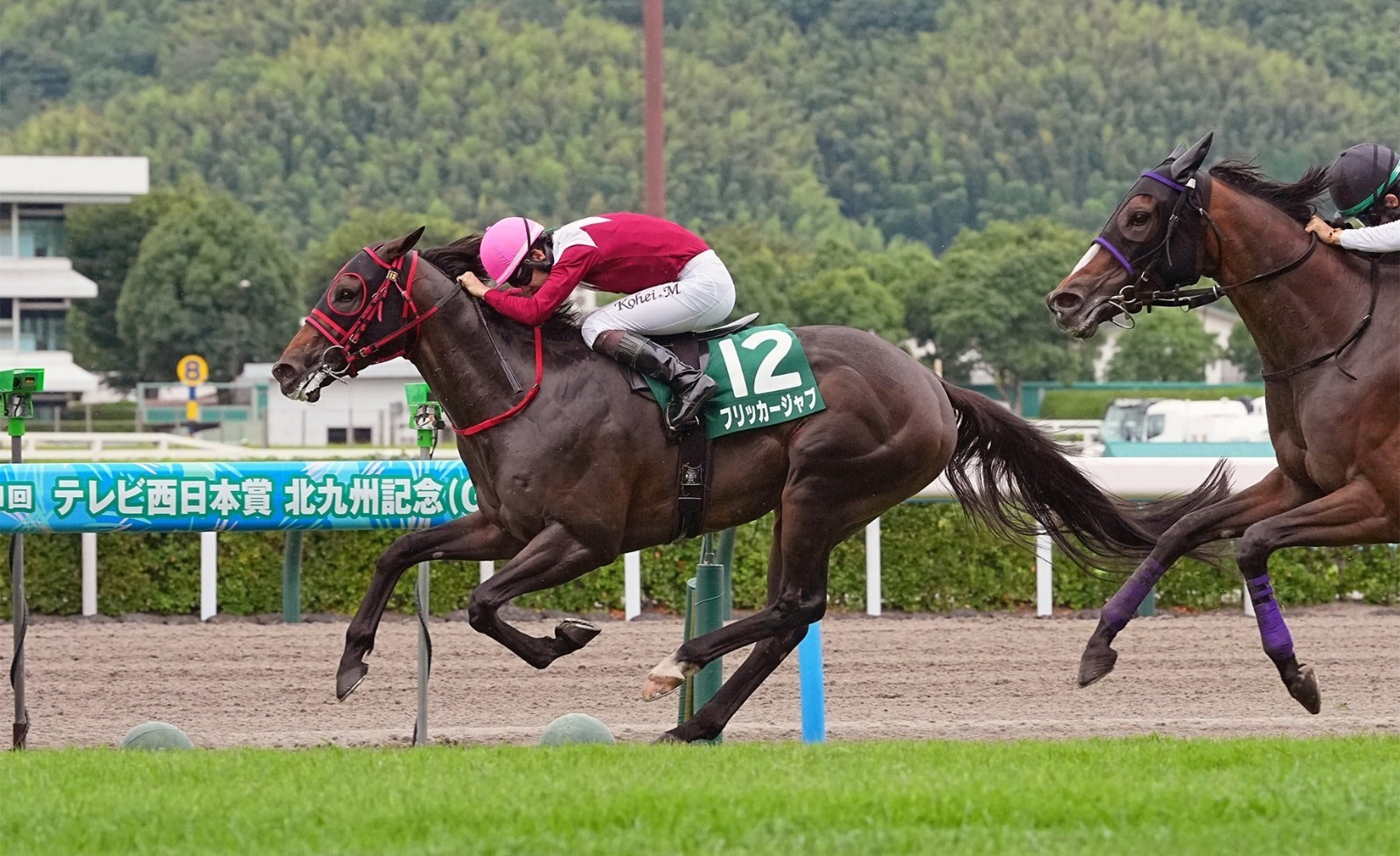 Kobe Shimbun Hai 2026 field at Hanshin Racecourse