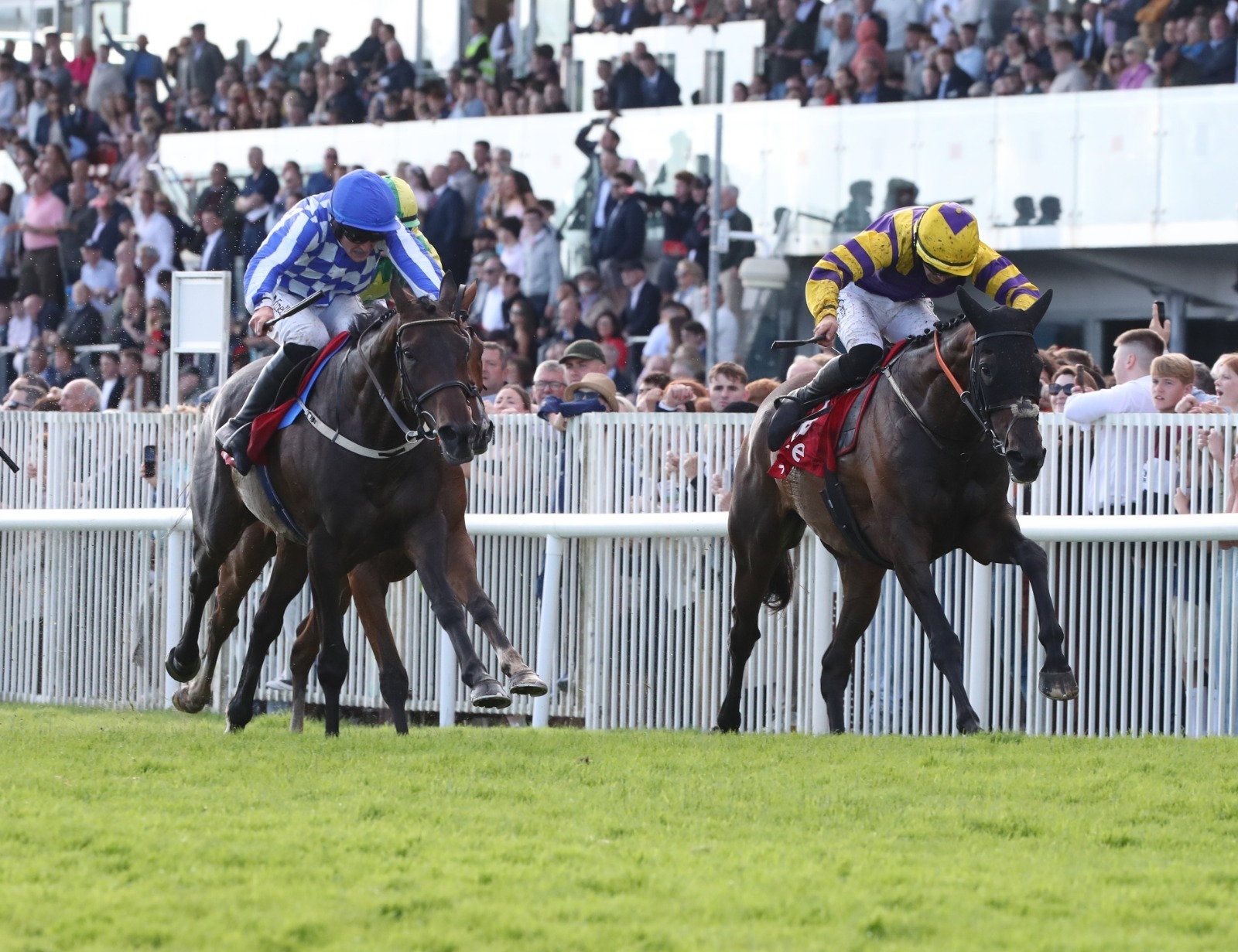 Guinness Kerry National at Listowel Racecourse