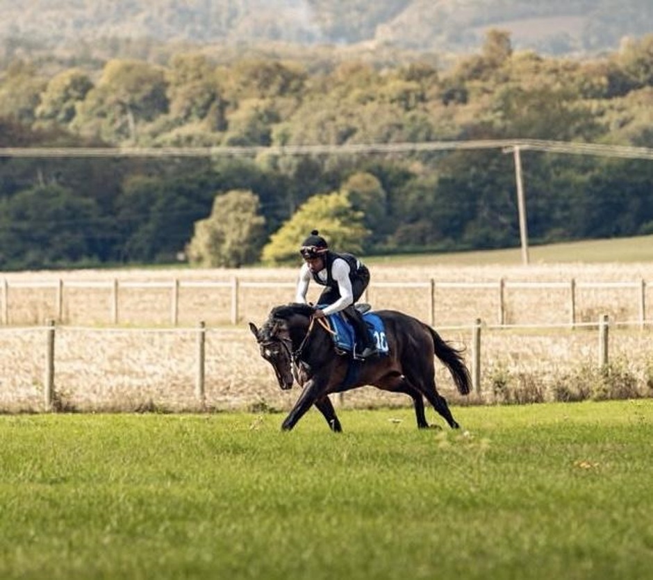 Goodwood racecards 23 September 2026 flat racing at Goodwood Racecourse
