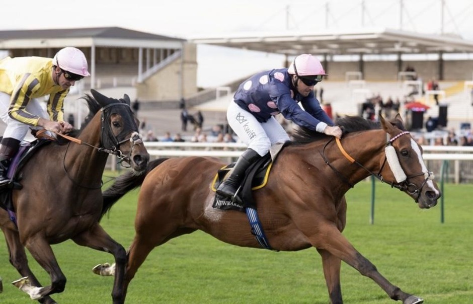 Newmarket racecards 25 September 2026 flat racing at Newmarket Racecourse