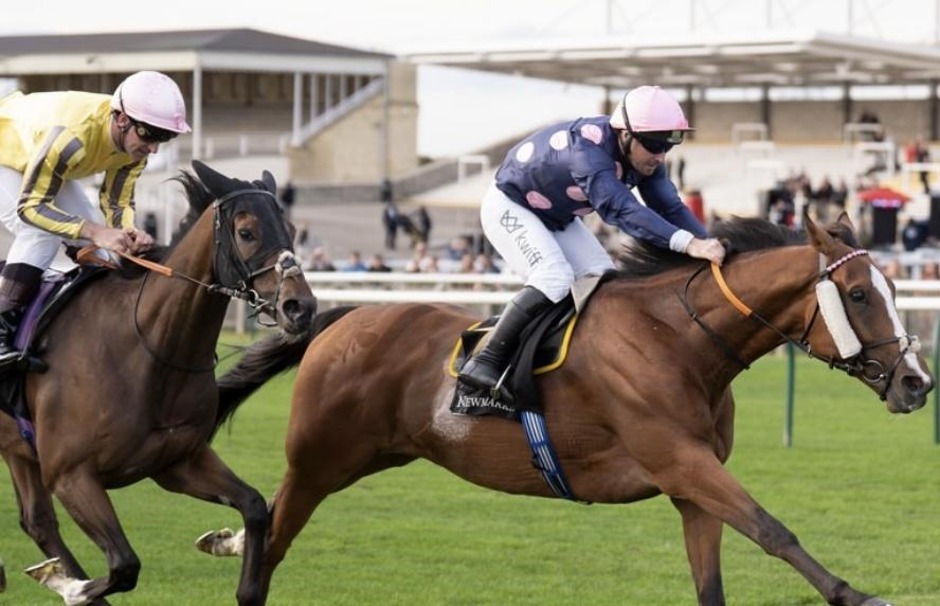 Newmarket racecards 26 September 2026 flat racing at Newmarket Racecourse