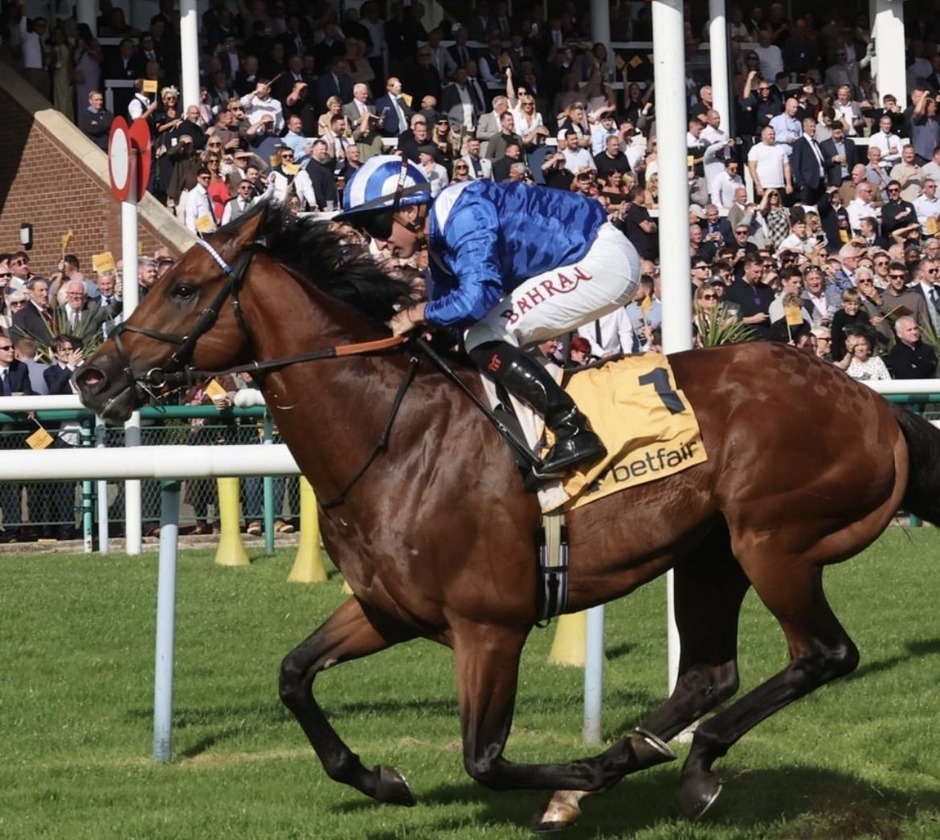 Haydock Park racecards 26 September 2026 flat racing at Haydock Park Racecourse