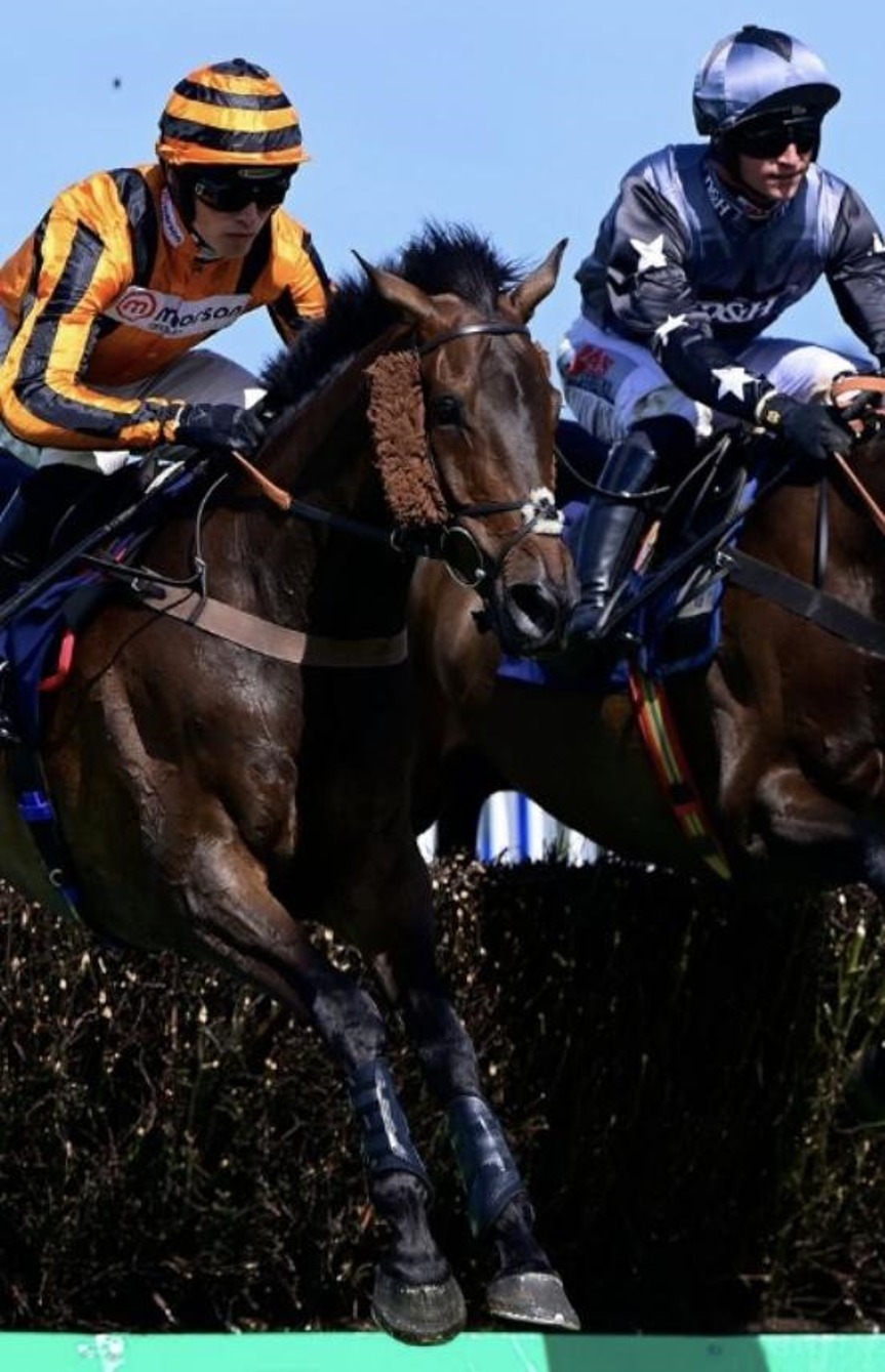 Newton Abbot racecards 28 September 2026 National Hunt racing at Newton Abbot Racecourse