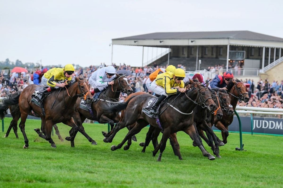 Talk Of New York wins the Group Two race at Newmarket