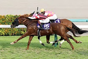JRA Fall Season 2026 major G1 races in Japan