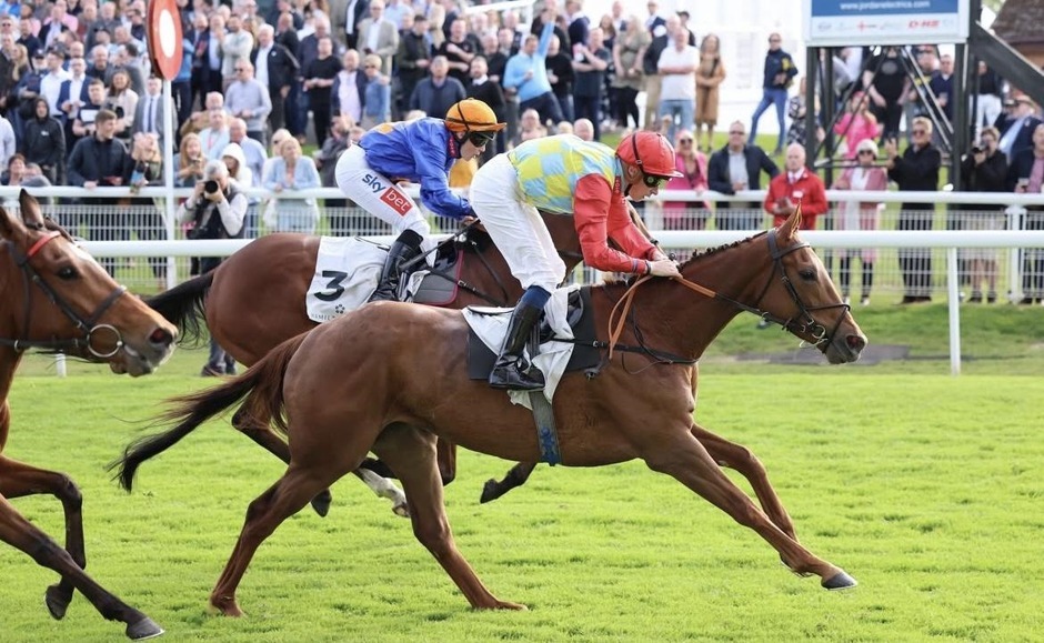 Hamilton Park racecards 28 September 2026 flat racing at Hamilton Park Racecourse