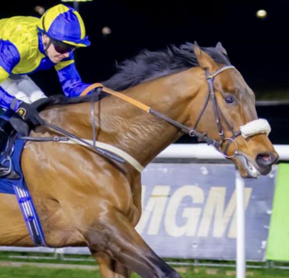Wolverhampton racecards 28 September 2026 all-weather racing at Wolverhampton Racecourse