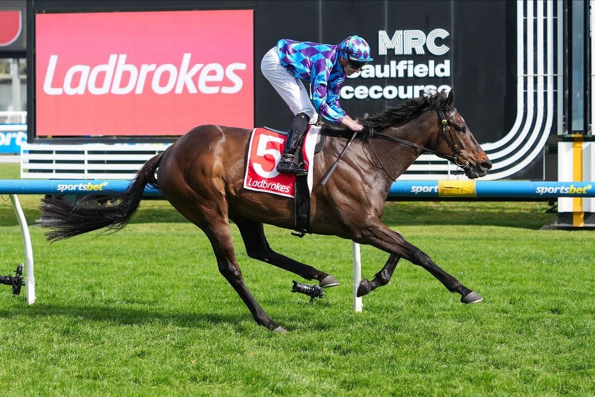 Pride of Jenni Feehan Stakes victory at Caulfield Racecourse