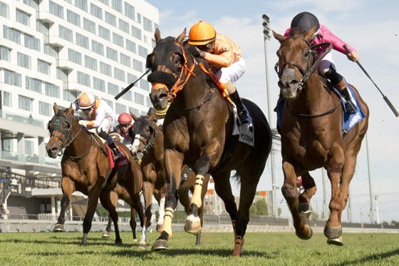 Wicked Django wins the inaugural Grand Valley Stakes at Woodbine