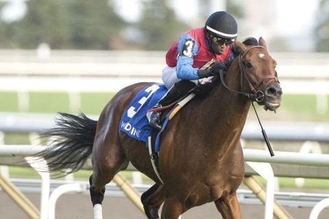 Fire and Wine wins the Breeders’ Stakes 2026 at Woodbine