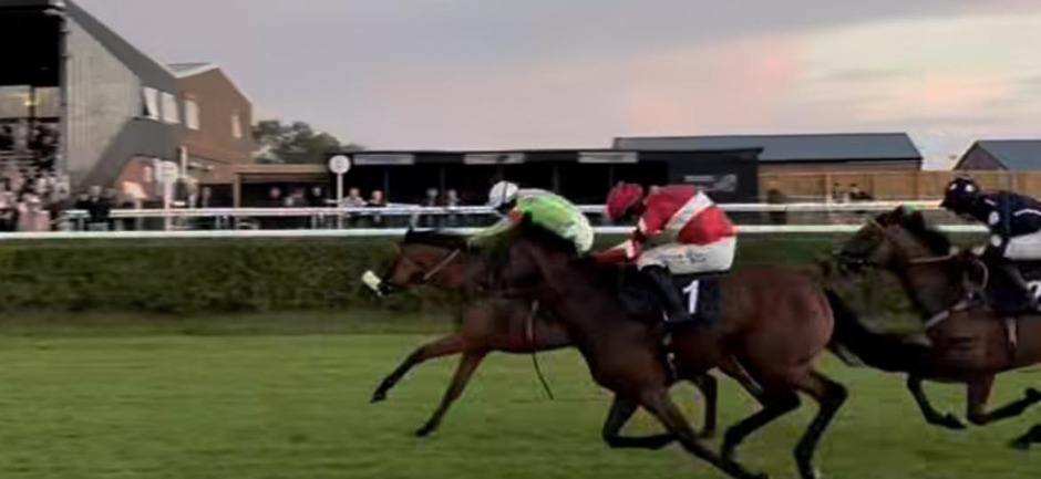 Sedgefield racecards 29 September 2026 National Hunt racing at Sedgefield Racecourse